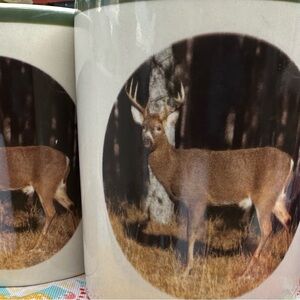 American Wildlife Association Print Ceramic Mug